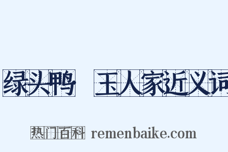 绿头鸭·玉人家近义词是什么意思的图片